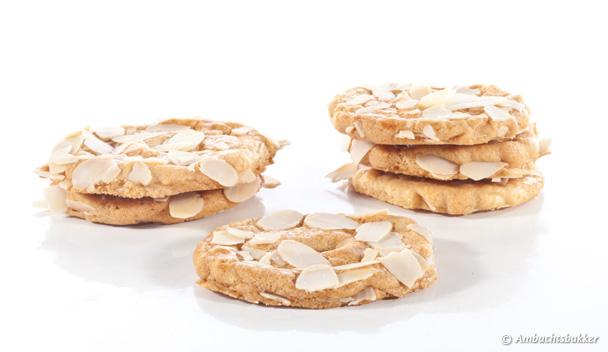 Kerstkransen Groot (10 stuks)